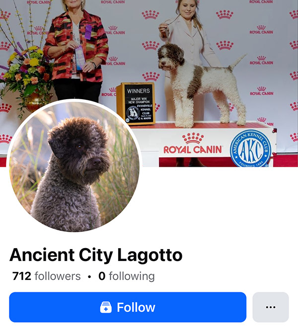 Facebook Page of Lagotto Romagnolo breeder