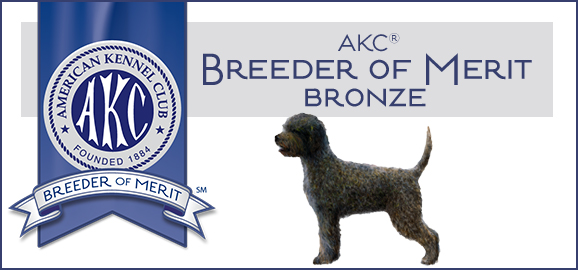 AKC Bronze Breeder of Merit